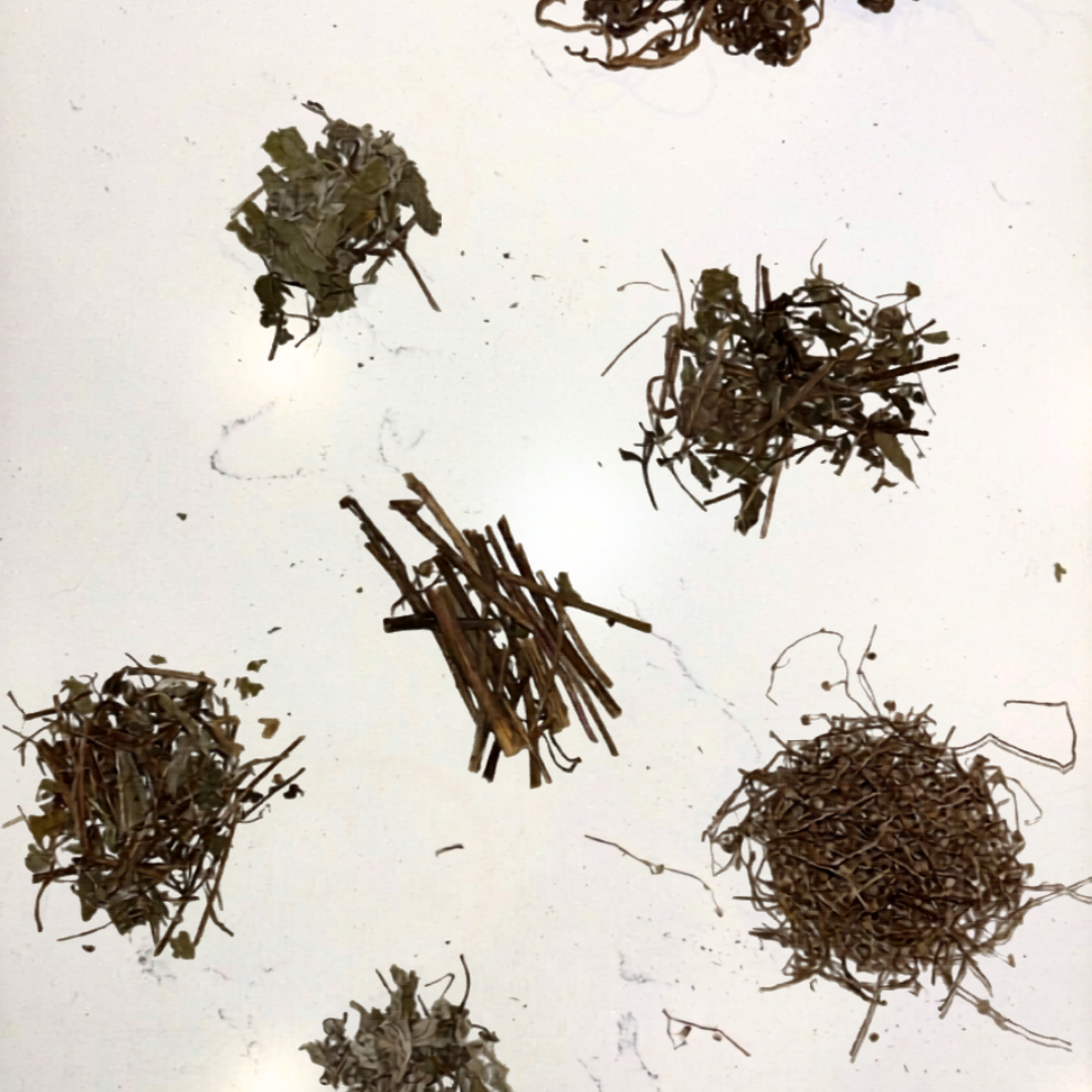 Signature Herbal Steam Cleanse